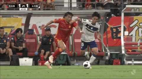 Highlight 40'