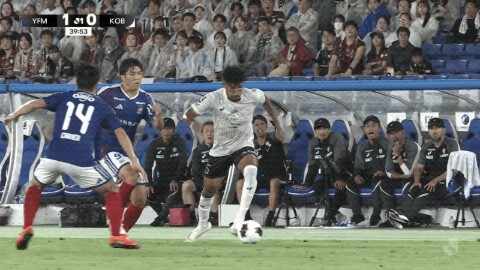 Highlight 40'