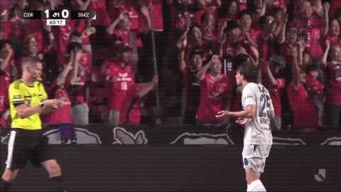 Highlight 63'
