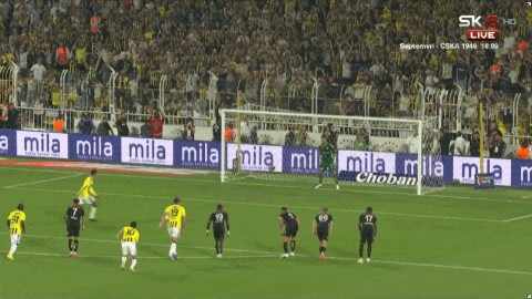Highlight 20'