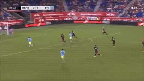 Highlight 50'