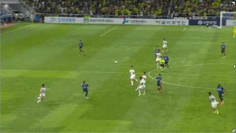 Highlight 96'