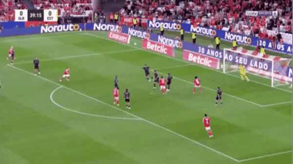 Highlight 40'