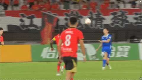 Highlight 91'