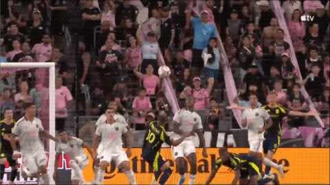 Highlight 41'