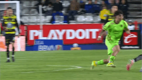 Highlight 40'
