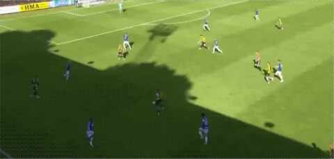 Highlight 50'