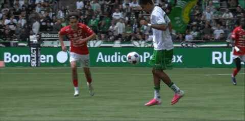 Highlight 85'