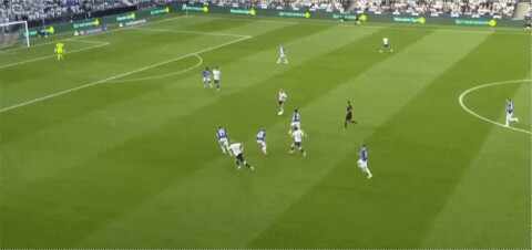 Highlight 55'