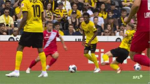 Highlight 8'