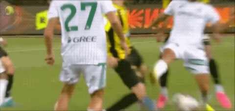 Highlight 26'