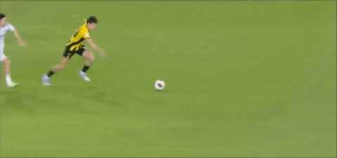 Highlight 96'