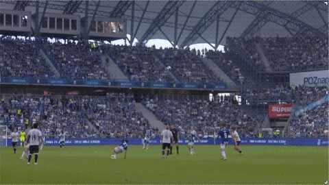Highlight 40'