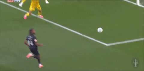 Highlight 8'