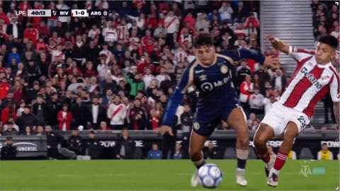 Highlight 40'