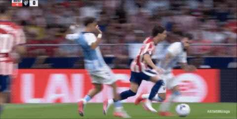 Highlight 49'