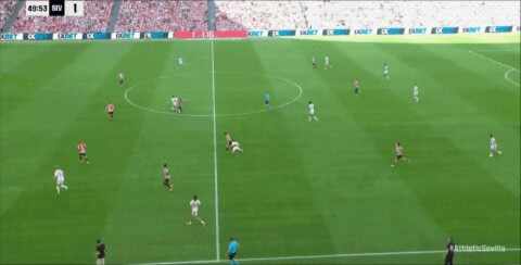 Highlight 50'