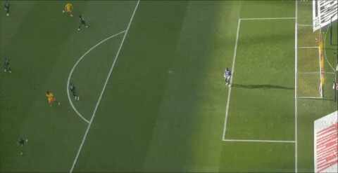 Highlight 86'