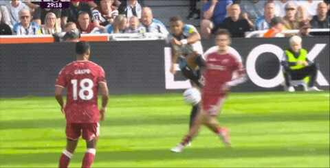 Highlight 30'