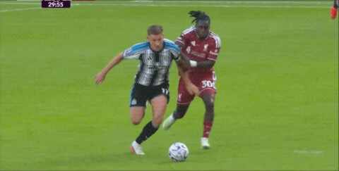 Highlight 30'