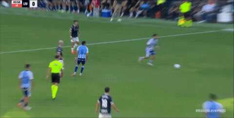 Highlight 46'