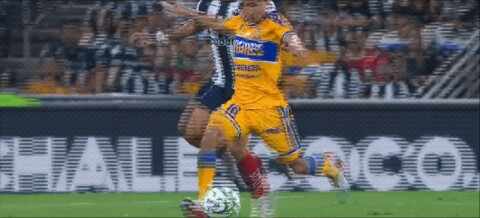 Highlight 59'