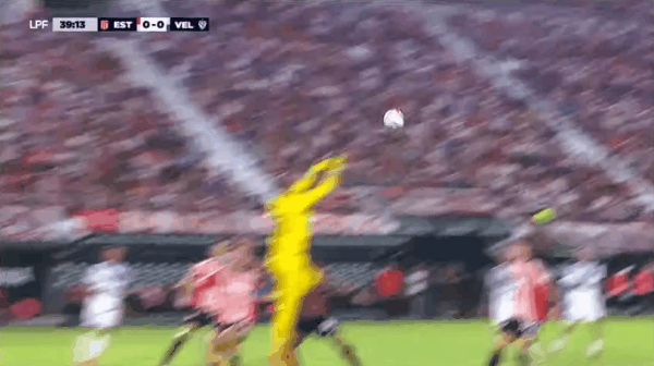 Highlight 40'