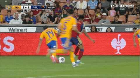 Highlight 50'