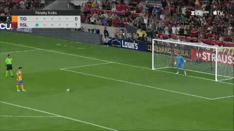 Highlight 92'
