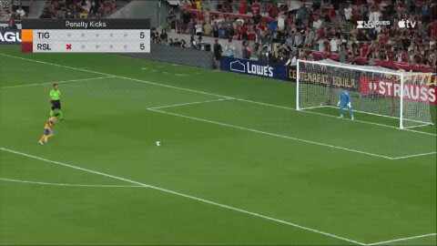 Highlight 100'