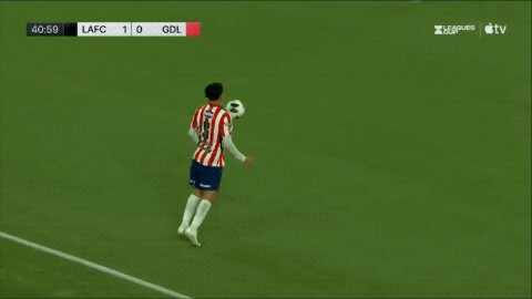 Highlight 42'