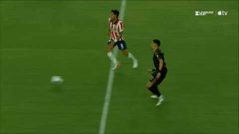 Highlight 80'
