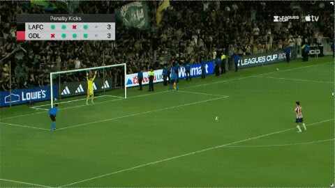 Highlight 100'