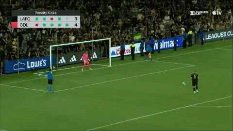 Highlight 100'
