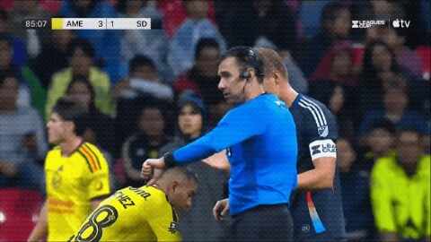 Highlight 86'