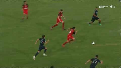 Highlight 50'