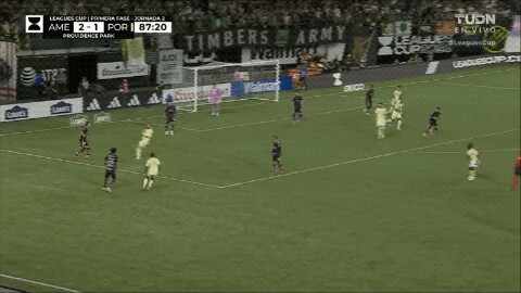 Highlight 88'
