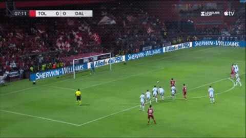 Highlight 8'