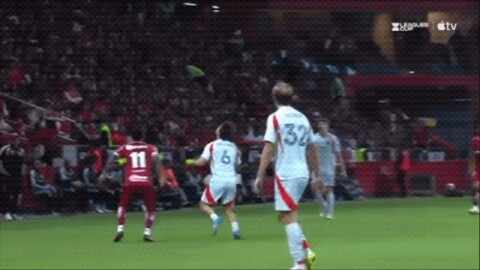 Highlight 79'