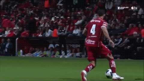 Highlight 91'