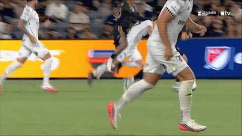 Highlight 84'