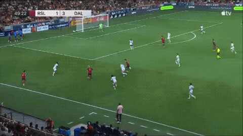 Highlight 50'