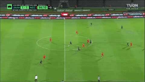 Highlight 95'