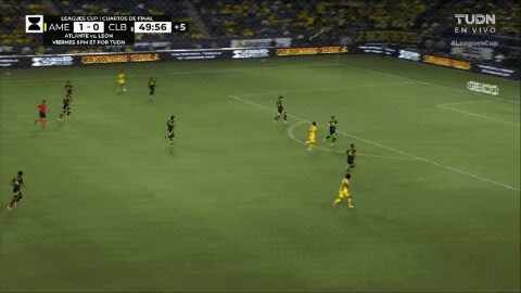 Highlight 50'