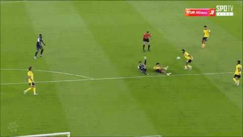 Highlight 64'