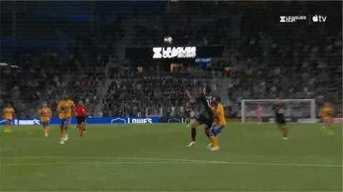 Highlight 42'