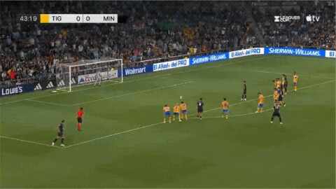 Highlight 44'