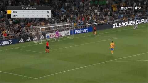 Highlight 91'