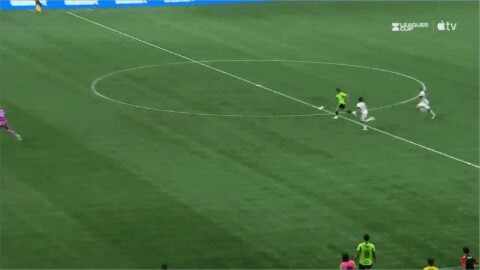 Highlight 96'