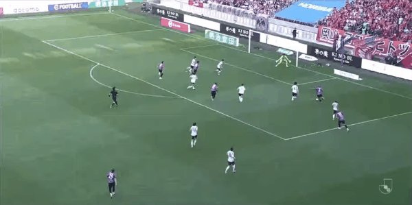 Highlight 50'